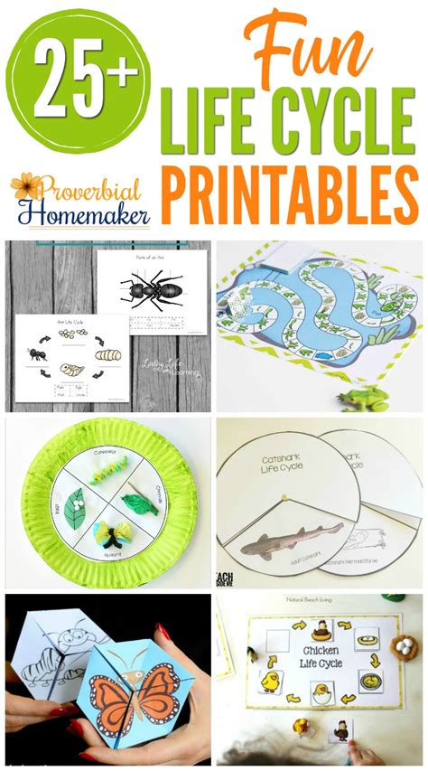 Free Life Cycle Printables