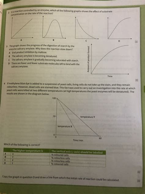 Biology Eoc Questions Chapter 3 Enzymes Diagram Quizlet