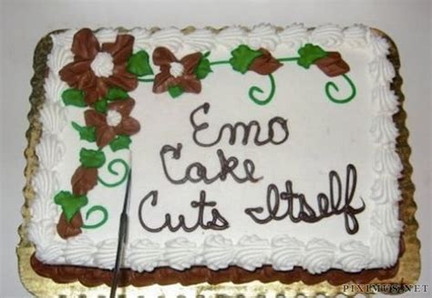 You Won’t Believe These Are Cakes | Art