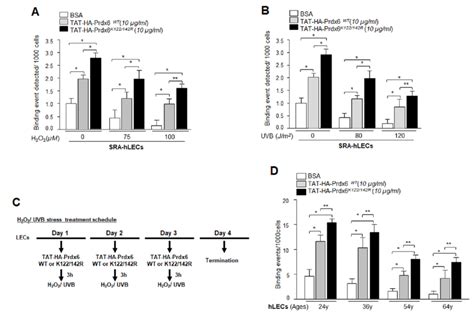 Enhanced Sp1 Binding To Prdx6 Promoter In Cells Transduced With Download Scientific Diagram