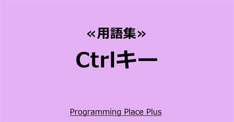 Ctrlキー Programming Place Plus 用語集