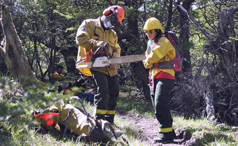 Harán Un Nuevo Curso Para Combatientes De Incendios Forestales