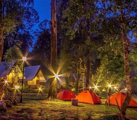 Rute Dan Harga Tiket Terbaru Mojosemi Forest Park Magetan Setapak Langkah