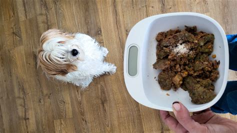 Marcas De Comida Cocinada Para Perro