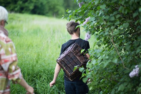 Lijst Met Wilde Eetbare Planten Forest To Plate