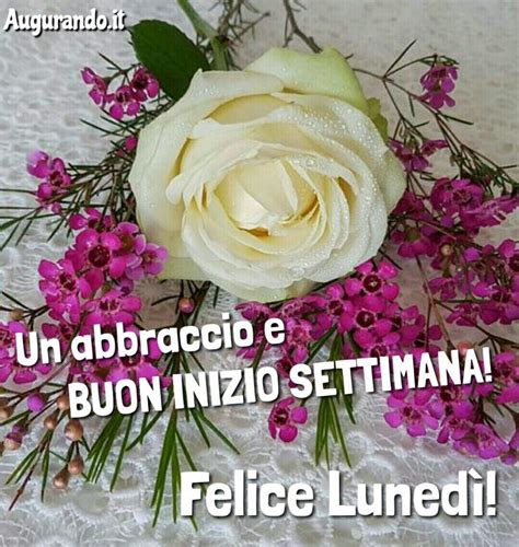 Buona Settimana Buon Lunedi Auguri Di Buongiorno Immagini