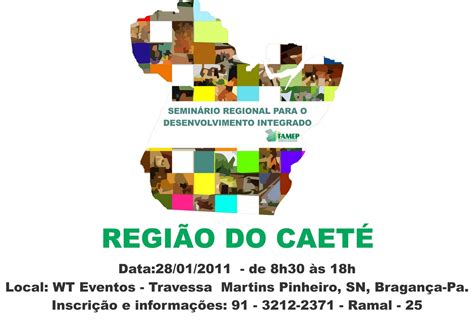 Raizes Do Ananin Bragan A Sedia Semin Rio Regional Para O