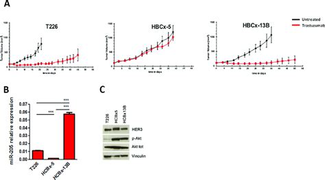 Mir And Her Expression In Pdx Models Tumor Growth Curves Of Her