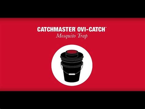 Ovi Catch AGO Mosquito Trap YouTube