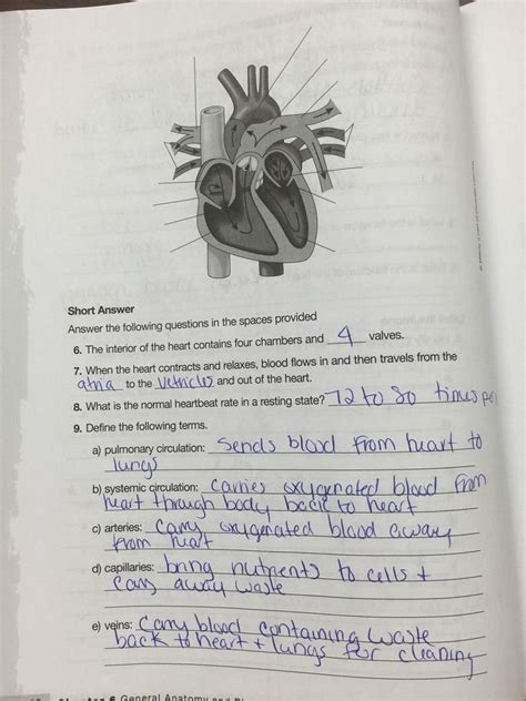 Milady Chapter Workbook Answers Chapter Milady Workboo