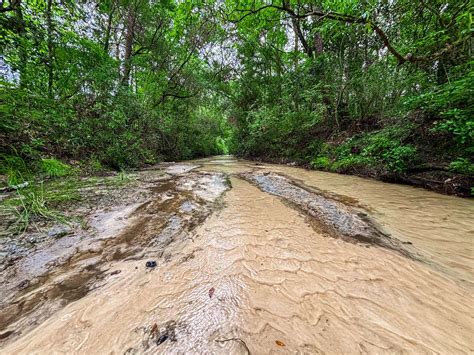 Defuniak Springs Fl Farm Land For Sale Properties Landsearch