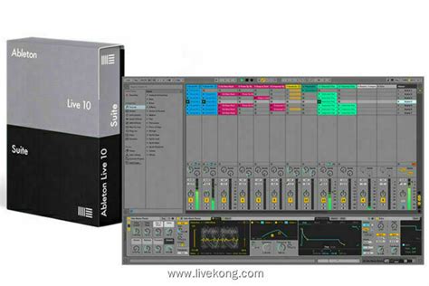 Ableton Live 10 Suite 10 1 35 Macosx Livekong来悟空