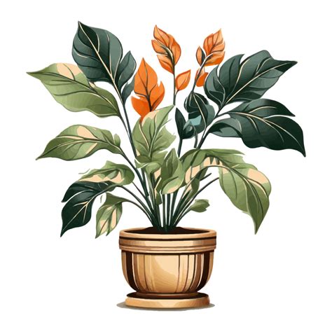 Ai Generated House Plants Home Decor 42056481 Png