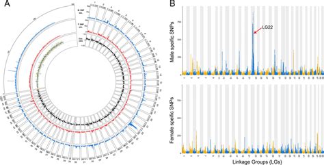 Sex Determining Regions Identified By Remapping The Pool Seq Male And Download Scientific