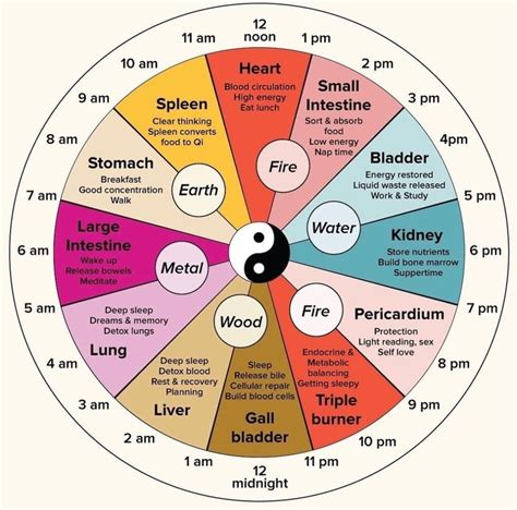 Circadian Rhythm Chinese Medicine Chinese Body Clock Body Clock