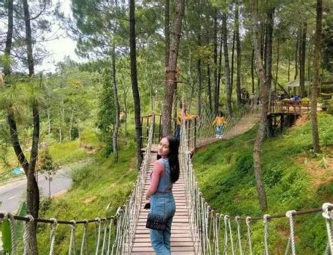 Malino Highland Lokasi Wahana Harga Tiket Penginapan 2024