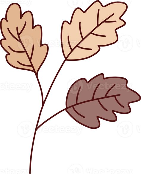 Autumn Hand Drawing With Brown Leaves 27148253 Png