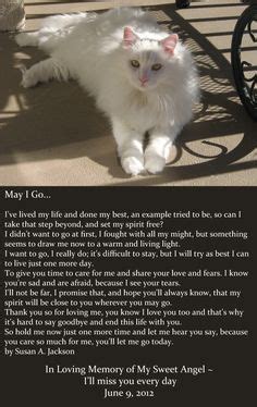 310 Best Cat Memorial Ideas | cat memorial, cat memorial ideas, pet ...