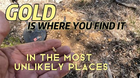 Prospecting For Amherst Gold Nuggets In Victorias Golden Triangle With