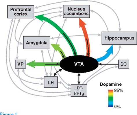 Figure 1 From Ventral Tegmental Area Neurons In Learned Appetitive