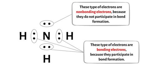 NH3 (Ammonia) Lewis Structure in 6 Steps (With Images)