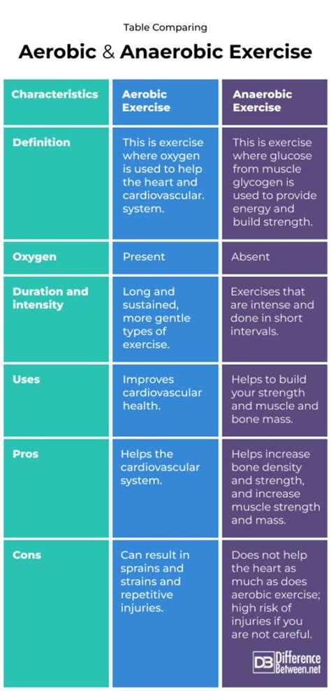 Diferencia Entre Ejercicio Aer Bico Y Anaer Bico