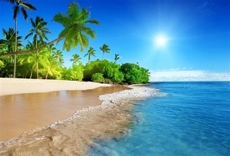 🔥 Download Fotos De Playas Tropicales Con Agua Cristalina Sol Palmeras Y By Erics74 Desktop