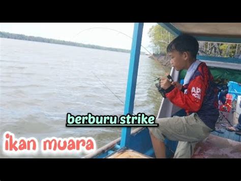 Berburu Strike Ikan Muara YouTube