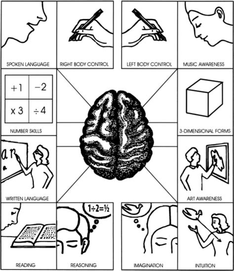 Right And Left Brain Right Brain Right To Education Brain Gym