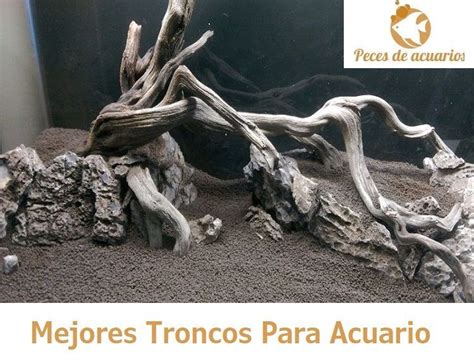 MEJORES TRONCOS PARA EL ACUARIO Troncos Raíces