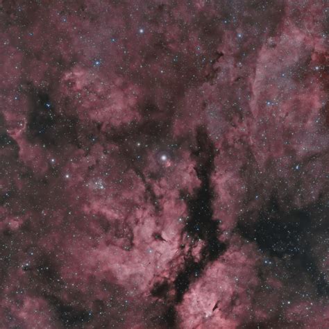 Gamma Cygni Nebula Sadr Region Gamma Cygni Nebula Sadr Flickr