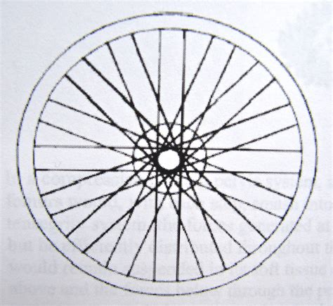 Bicycle Wheel Spokesbdpd9