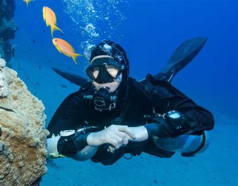 Antalya Kemer Scuba Diving With Pickup Lunch And 2 Dives GetYourGuide