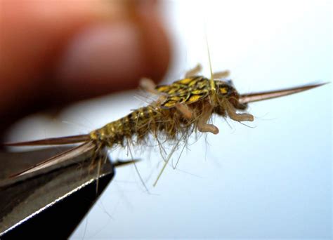 How To Tie Realistic Stonefly Nymph Frostyfly