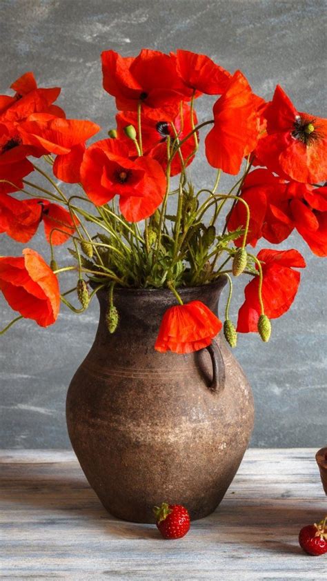Цветы в кувшине - 59 фото | Garden plant pots, Flower vases, Flower ...