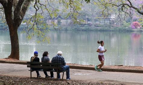 Corpo é encontrado dentro do lago do parque do Ibirapuera Folha PE