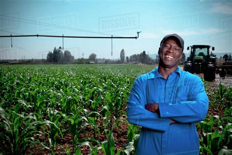 Black Farm Worker Stands Smiling In A Crop Field Stock Photo Dissolve