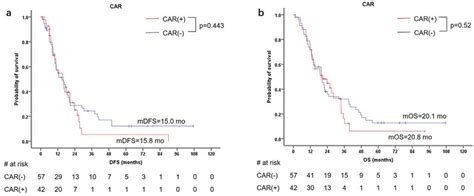 Kaplan Meier Survival Plots A Comparing Dfs Between Dp S And Dp Car