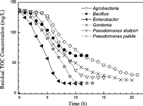 Biodegradation Of Synthetic Wastewater By Each Bacterial Strain