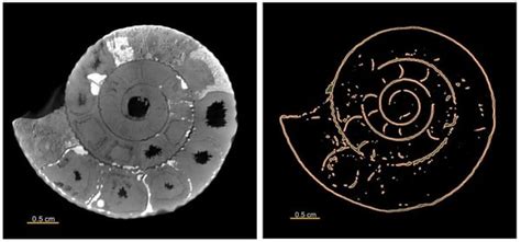 What Is Micro Ct