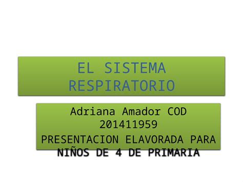 PPTX EL SISTEMA RESPIRATORIO DOKUMEN TIPS