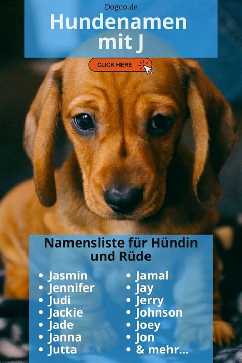 Hundenamen Mit J Weiblich Und M Nnlich Mit Bedeutung Namensliste Und