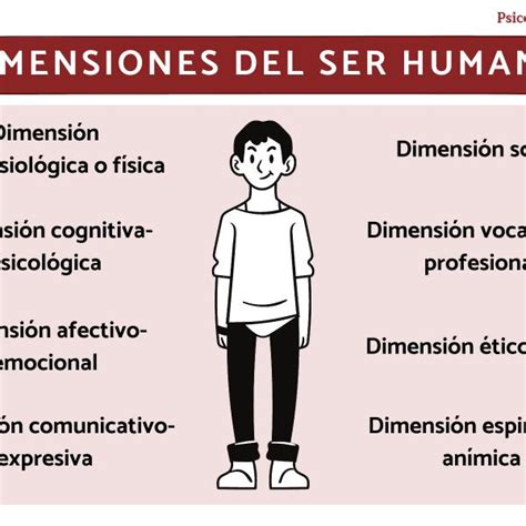 Año lógica camarera cuales son las dimensiones del ser humano en