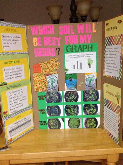 Science Fair Projects Using Plants