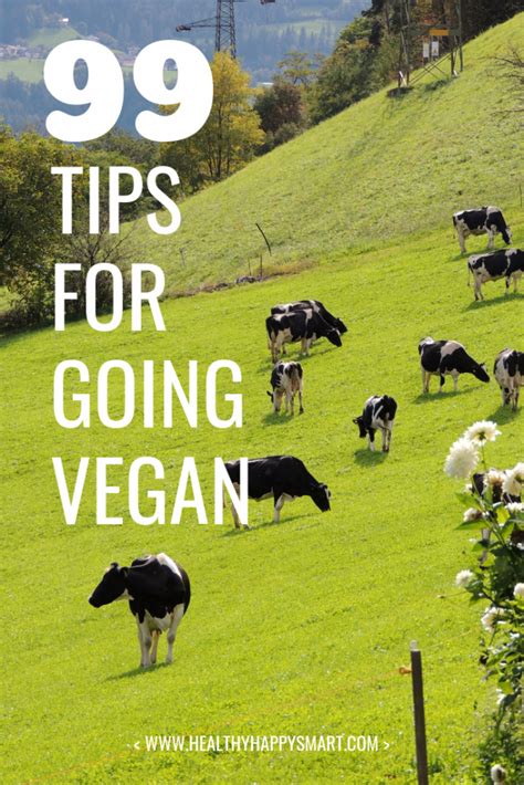 Why Go Vegan Epic Guide For Going Vegan • Healthy Happy Smart