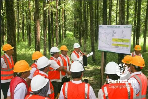 Sepanjang Perhutani Divre Jatim Tanam Juta Plances Tanaman Di