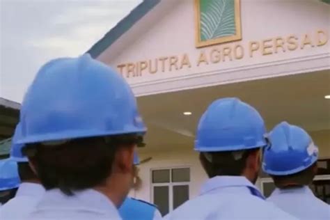 Peluang Emas Pt Triputra Agro Persada Tbk Buka Lowongan Kerja Di