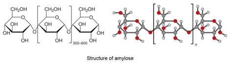 Amylose C6h10o5n Structure Properties And Uses Of Amylose