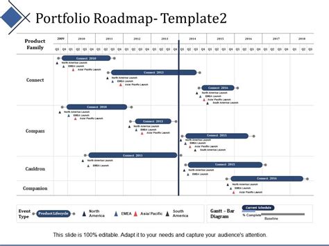 Portfolio Roadmap Management Ppt Summary Infographic Template