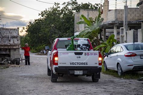 Se Intensifican Las Acciones De Termonebulizaci N En Las Colonias De La